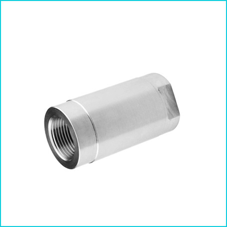 1PC VERTICAL CHECK VALVE